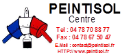 Ancien logo Peintisol en basse qualité